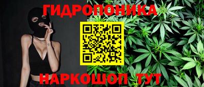 индика Краснознаменск