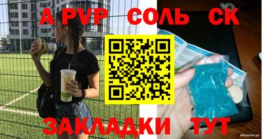 индика Краснознаменск