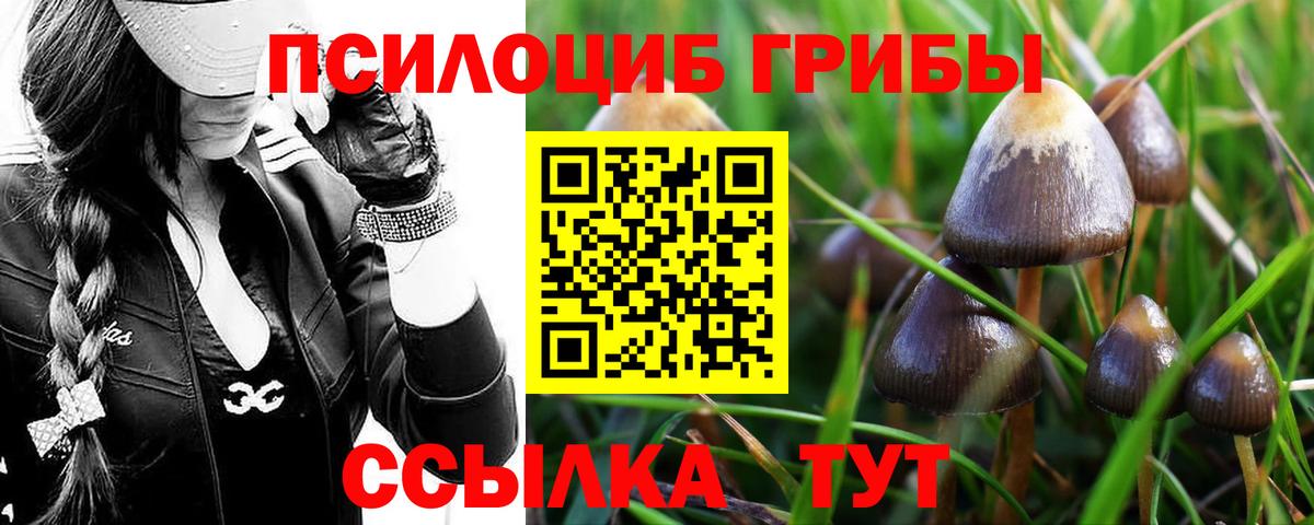 Ухта  Галлюциногенные грибы прущие грибы  Вход с VPN 