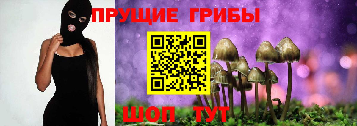 Псилоцибиновые грибы GOLDEN TEACHER Ухта